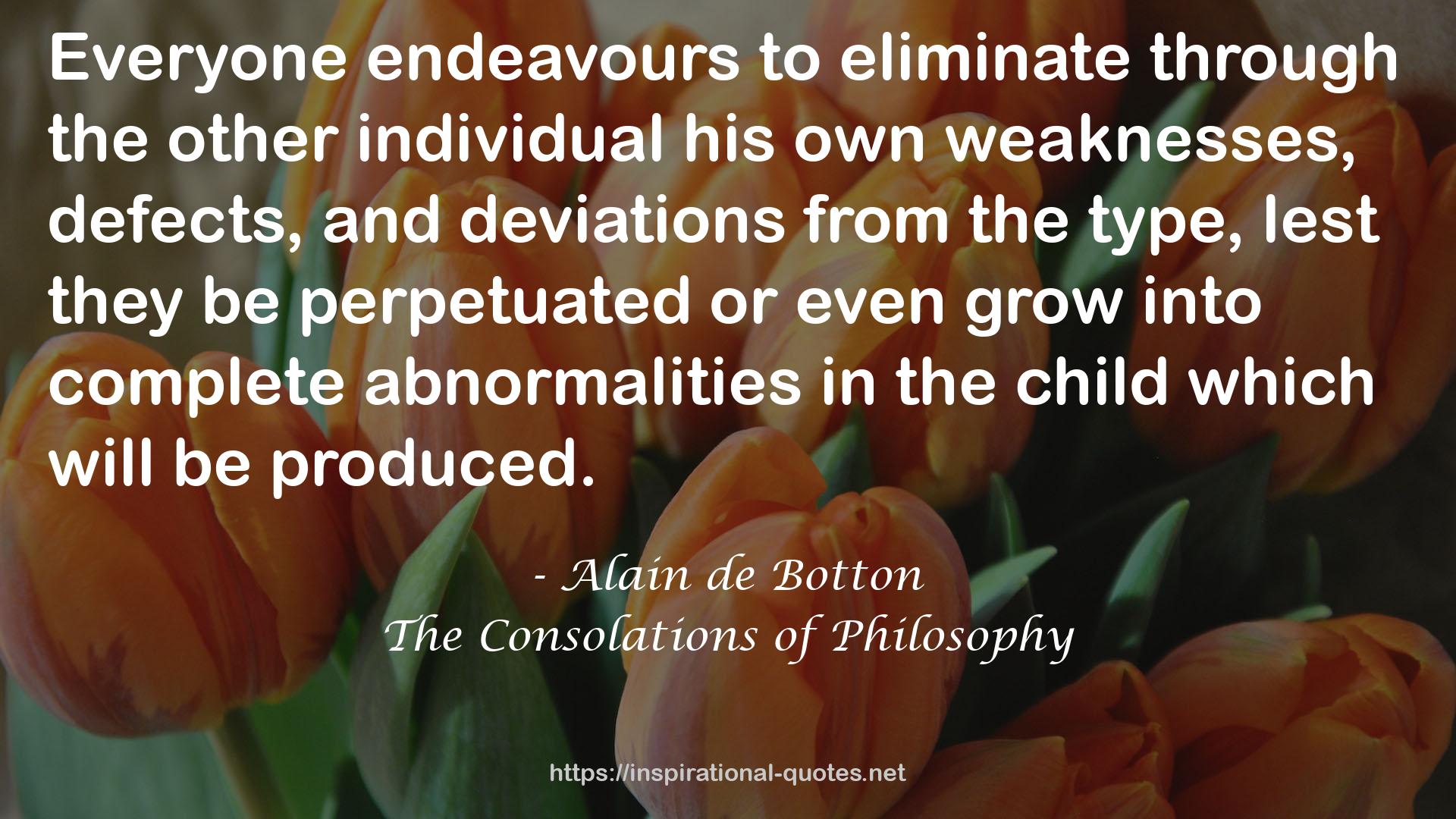The Consolations of Philosophy QUOTES