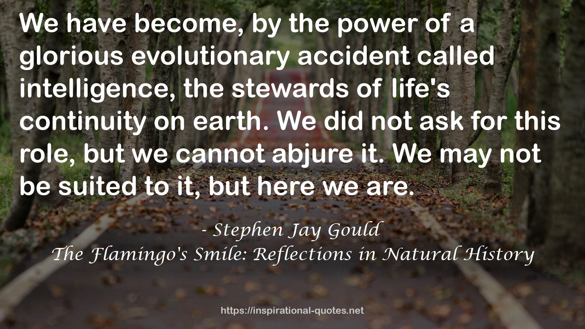 The Flamingo's Smile: Reflections in Natural History QUOTES
