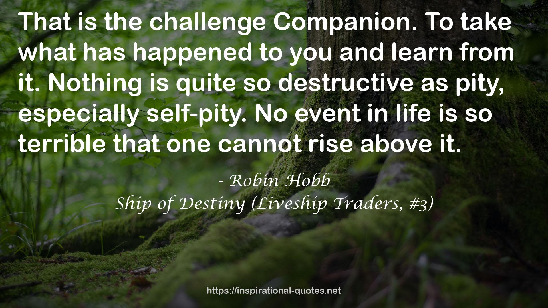 Ship of Destiny (Liveship Traders, #3) QUOTES