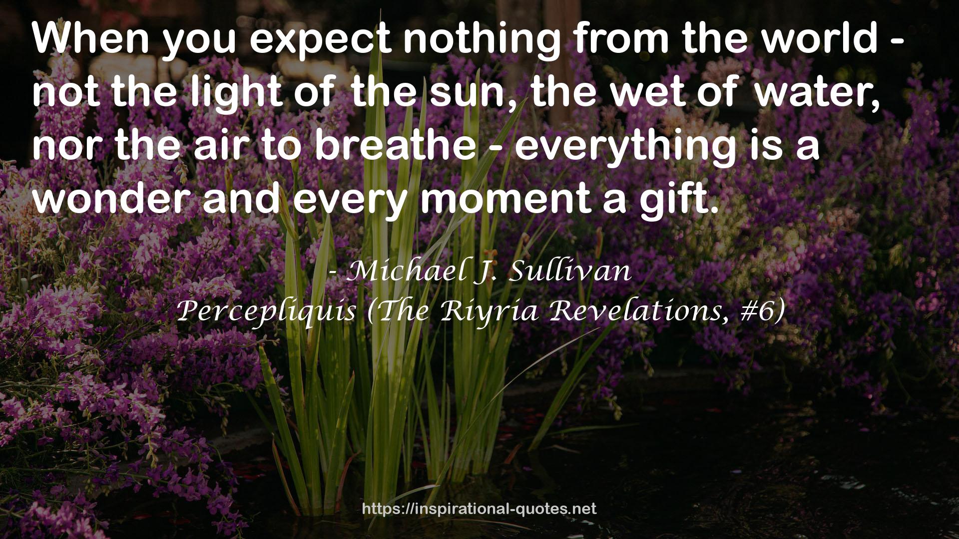 Michael J. Sullivan QUOTES