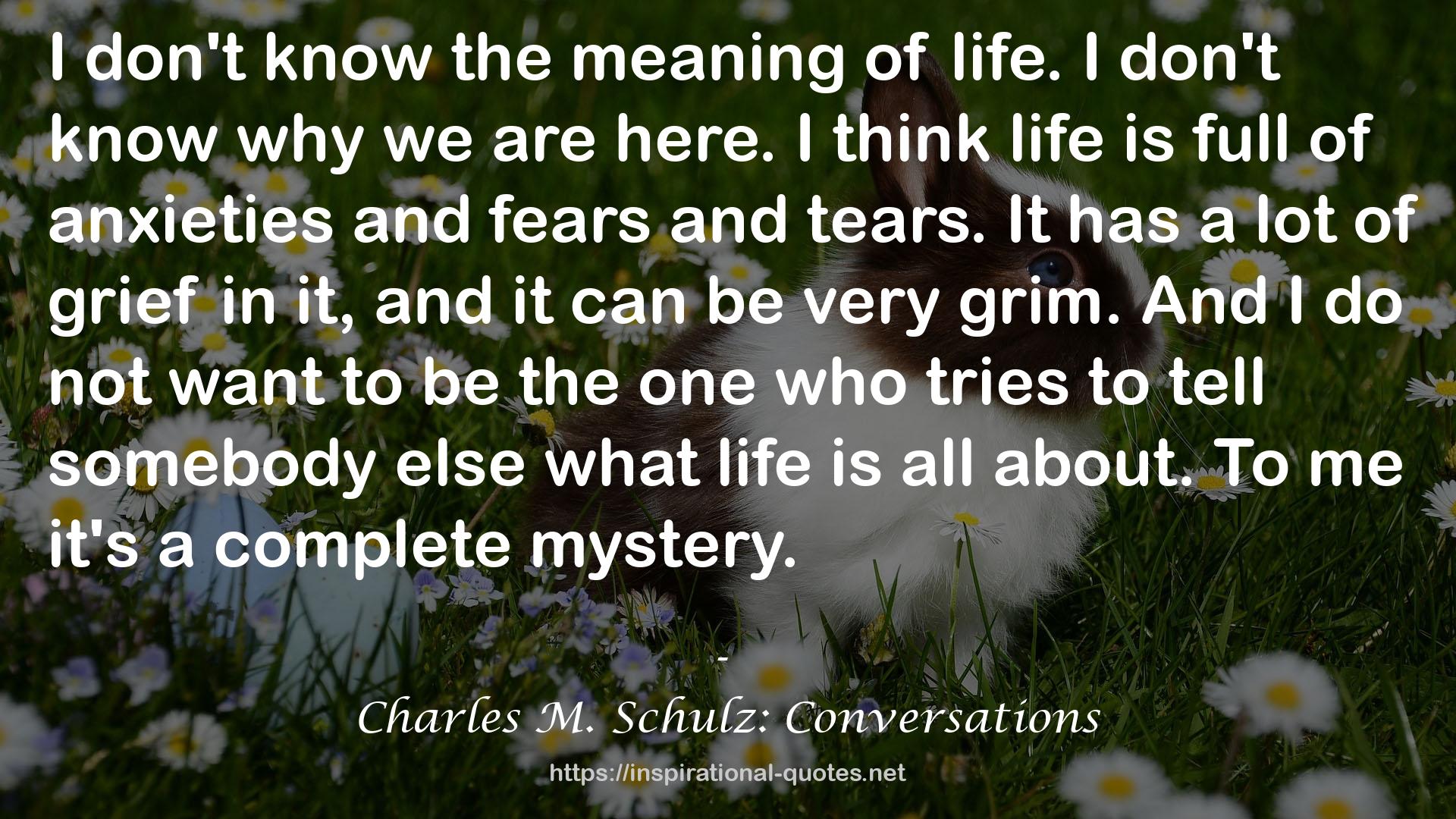 Charles M. Schulz: Conversations QUOTES