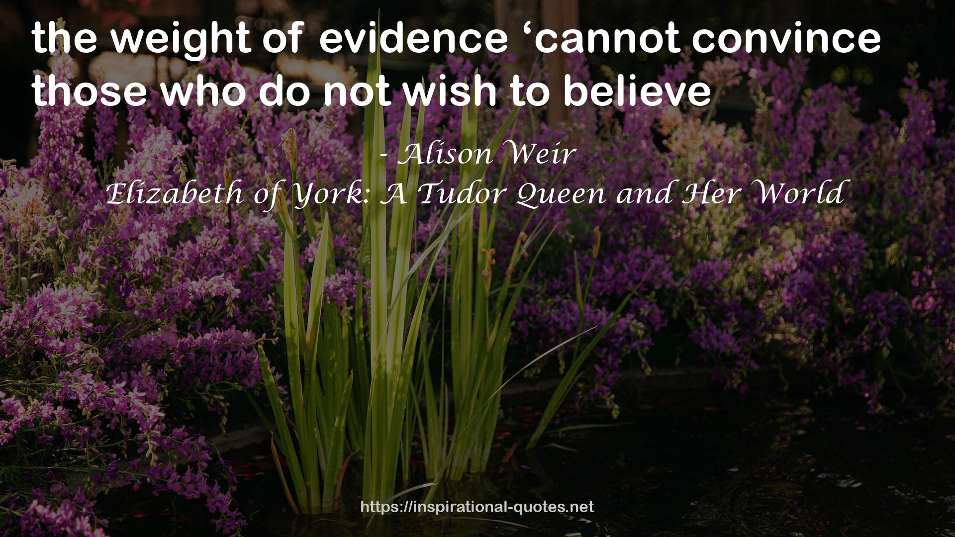 Elizabeth of York: A Tudor Queen and Her World QUOTES
