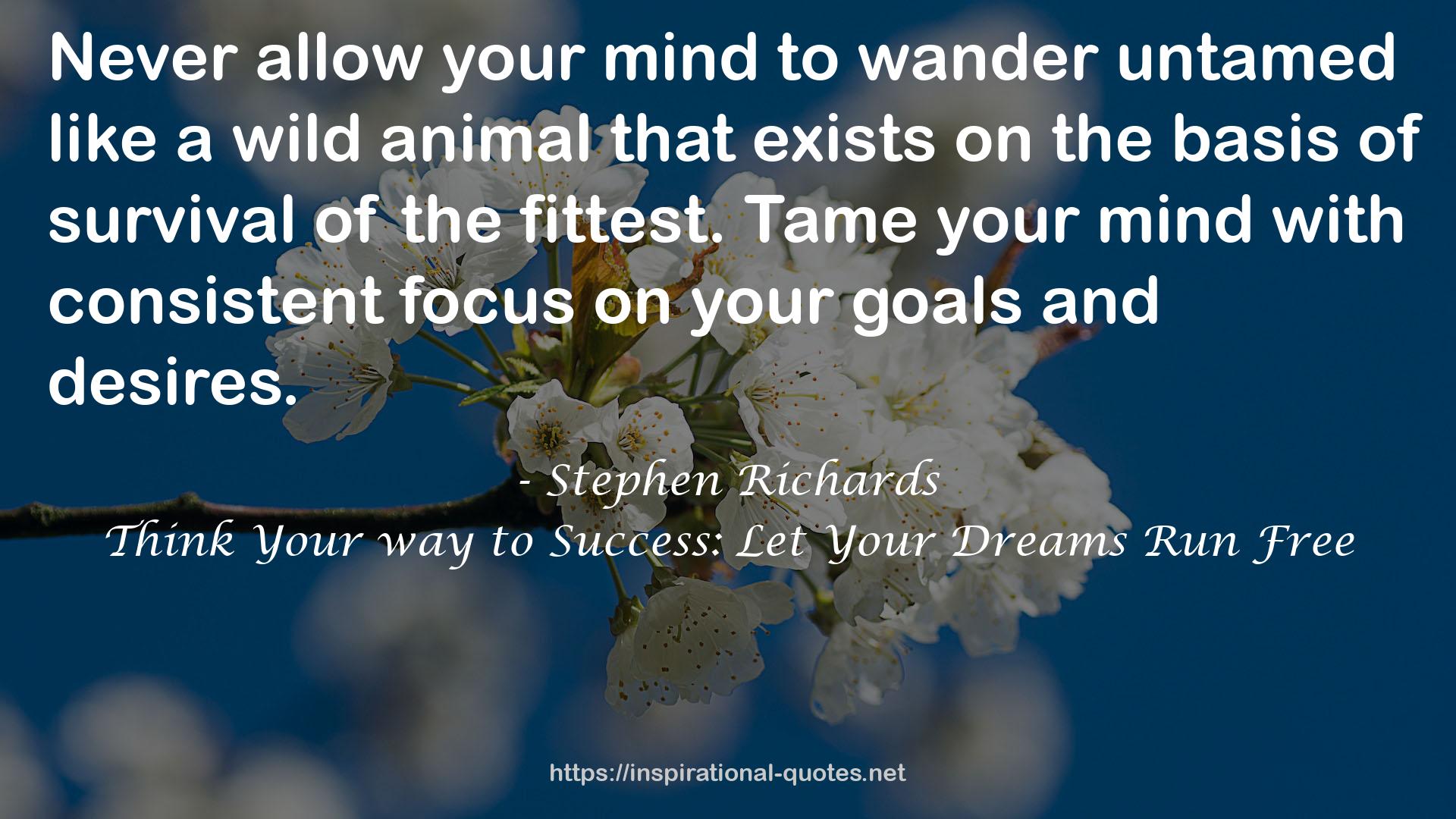 your goals  QUOTES