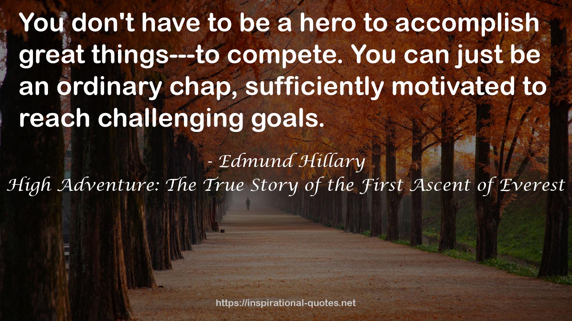 Edmund Hillary QUOTES