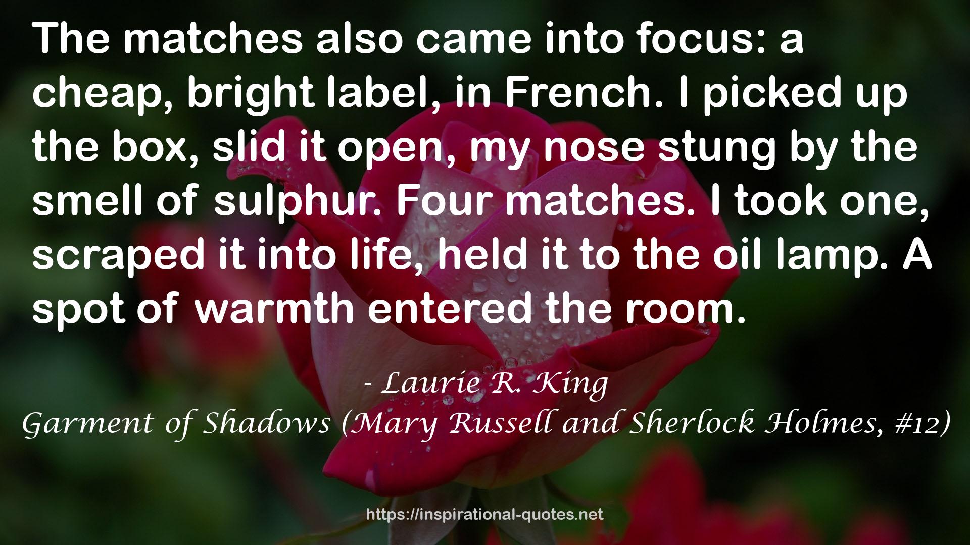 Garment of Shadows (Mary Russell and Sherlock Holmes, #12) QUOTES