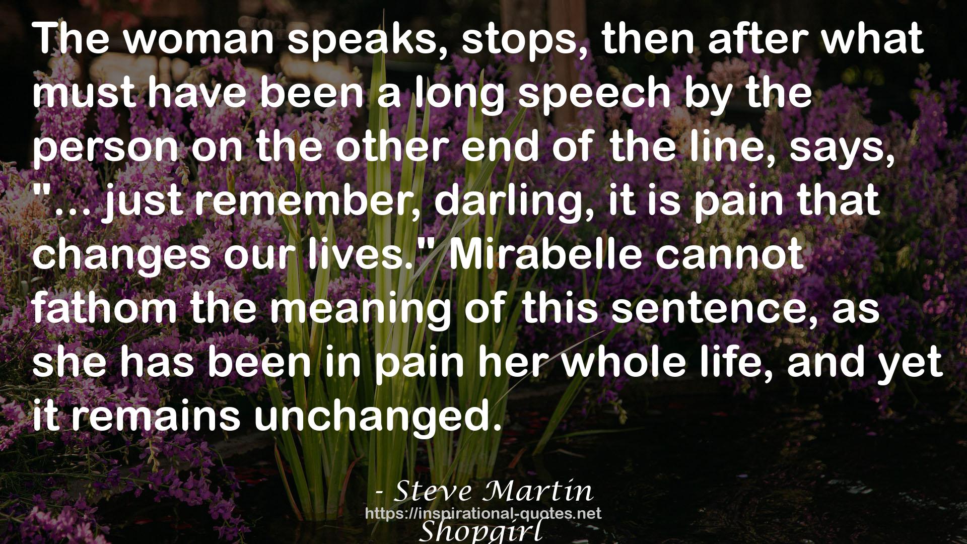 Steve Martin QUOTES