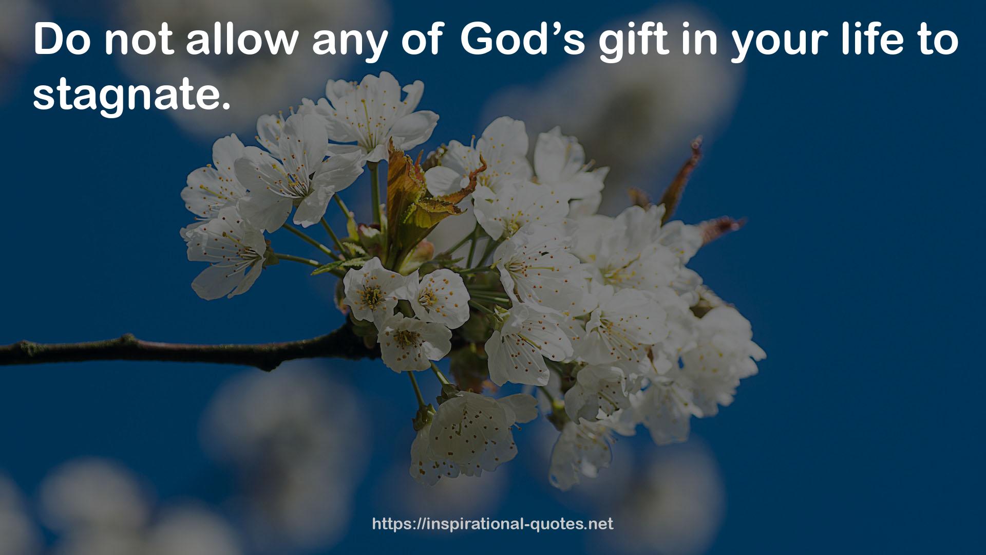 God’s gift  QUOTES