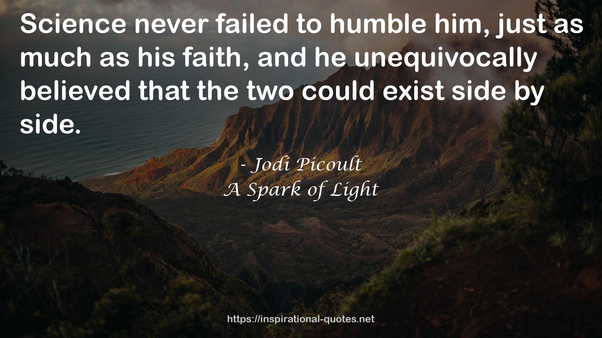 A Spark of Light QUOTES
