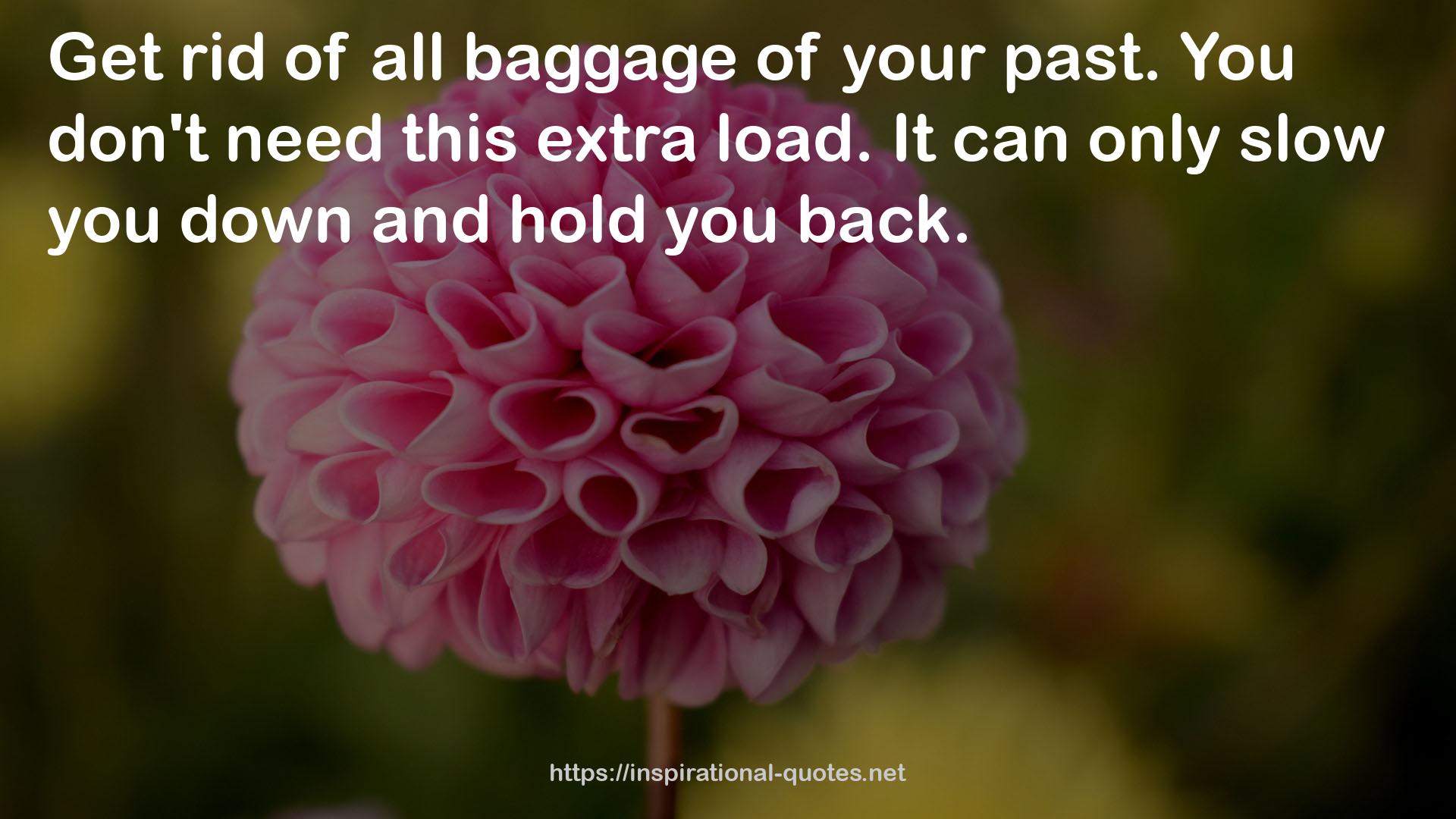 all baggage  QUOTES