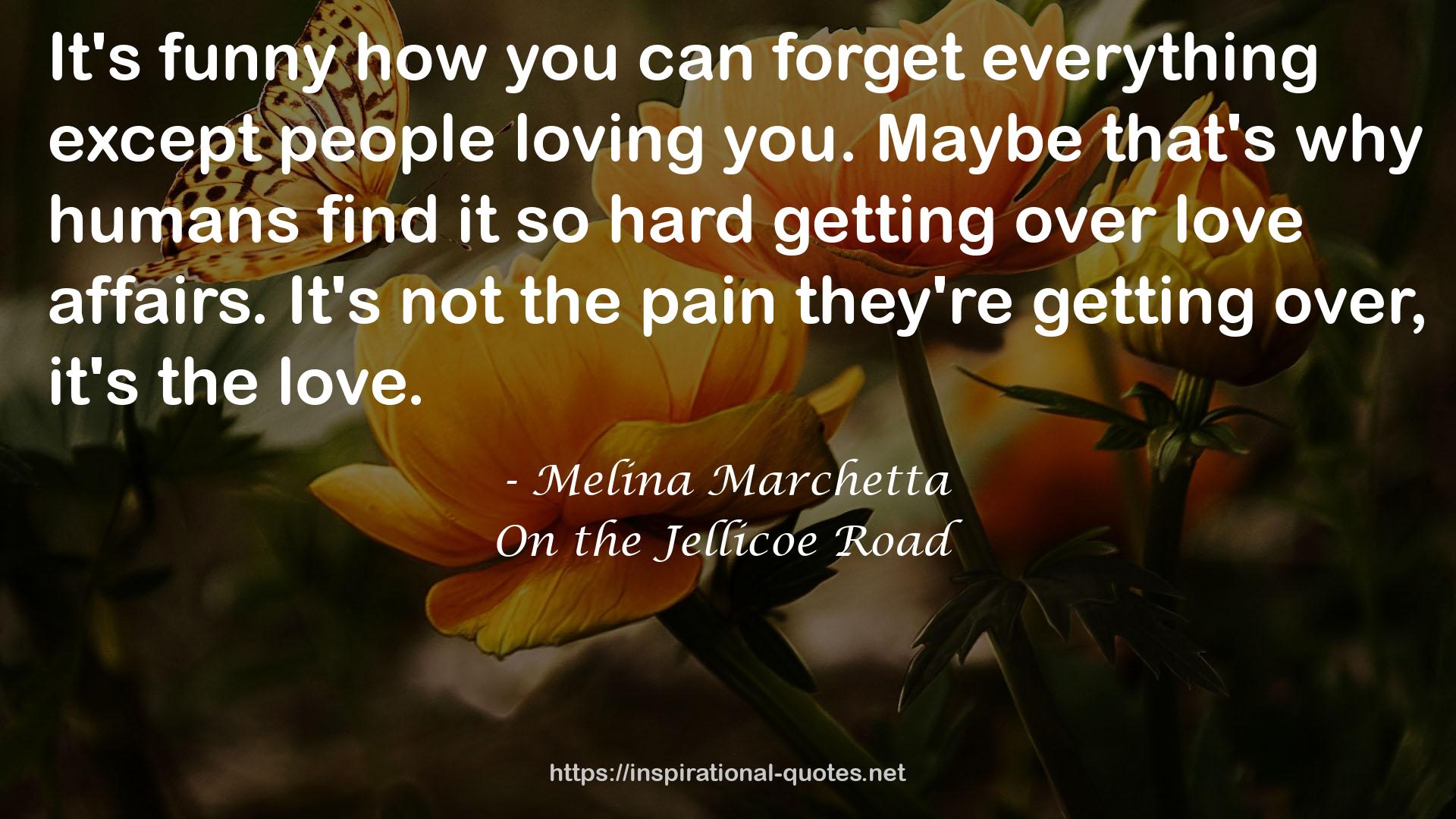 On the Jellicoe Road QUOTES