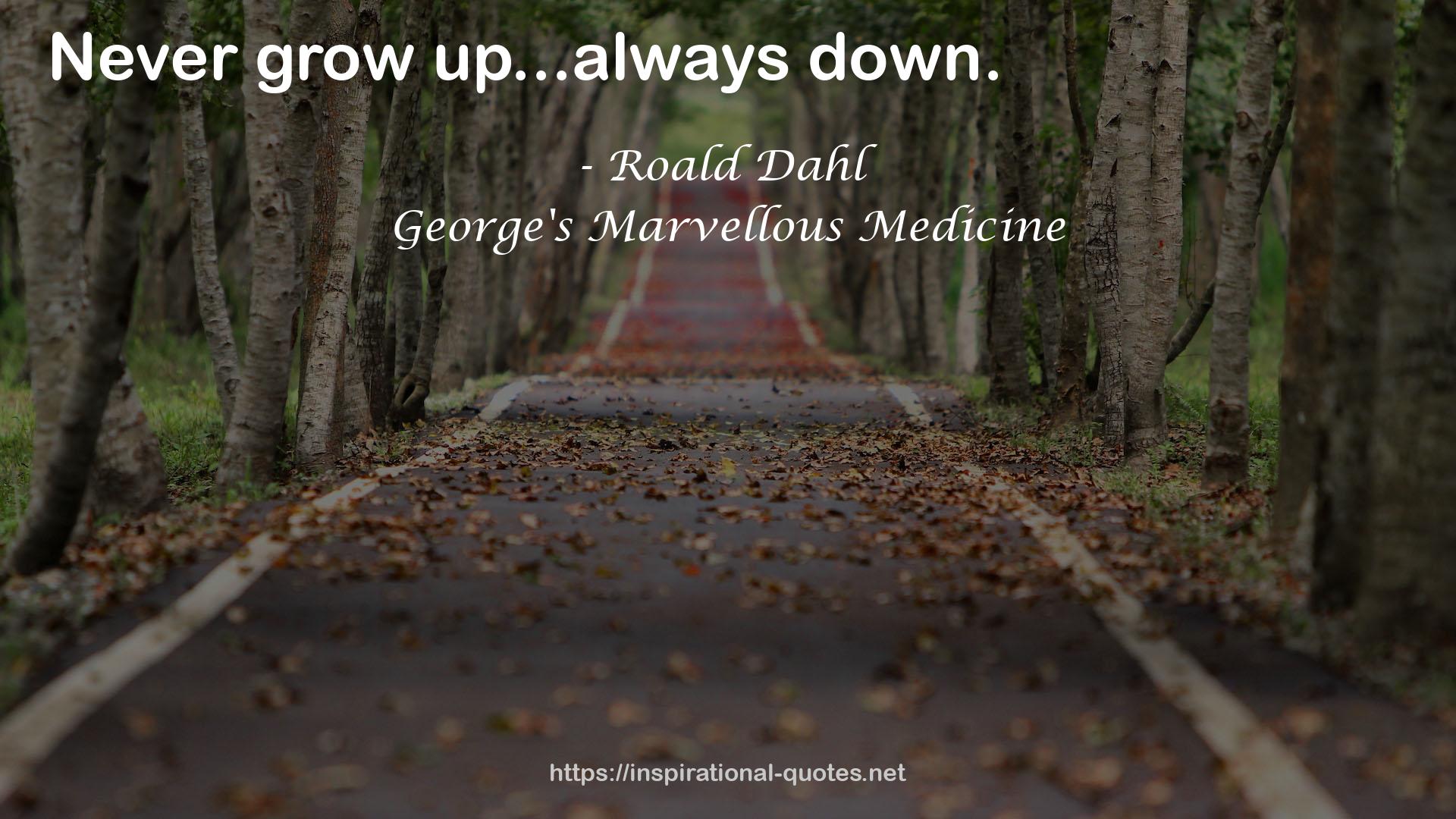 George's Marvellous Medicine QUOTES