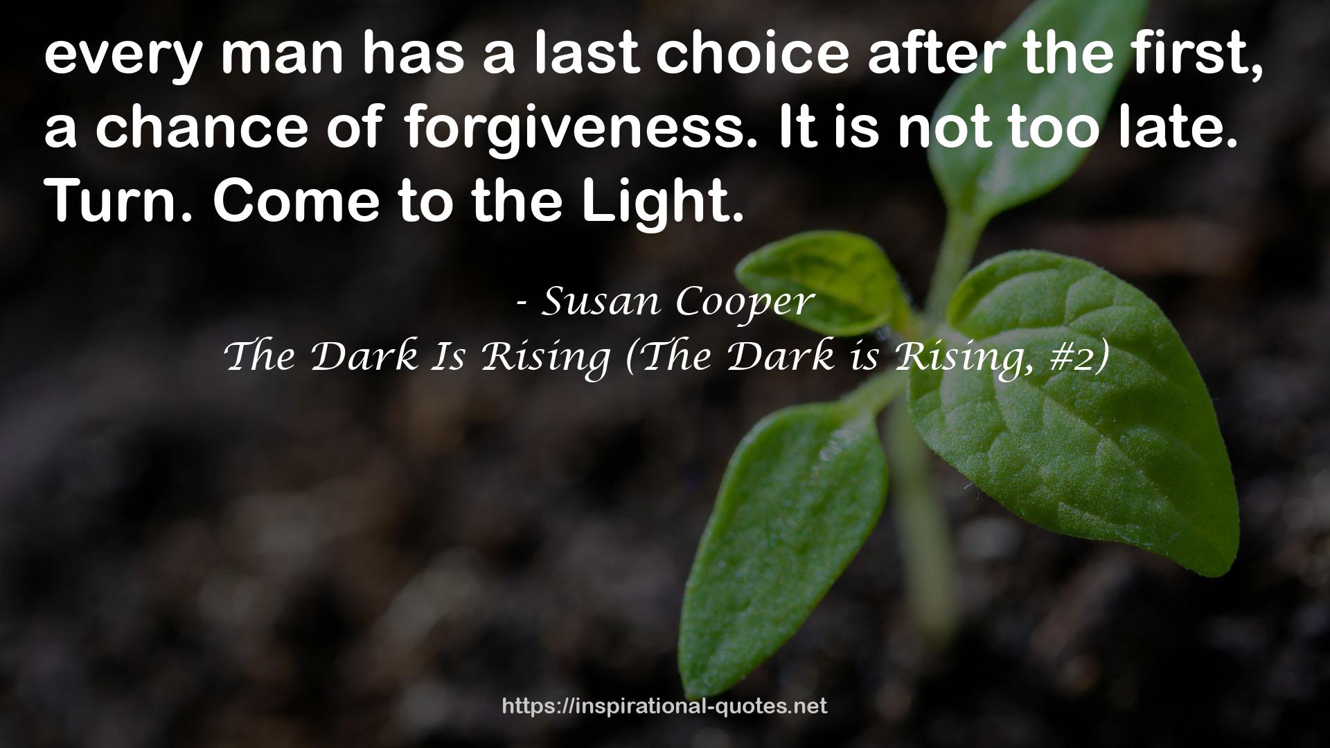 Susan Cooper QUOTES