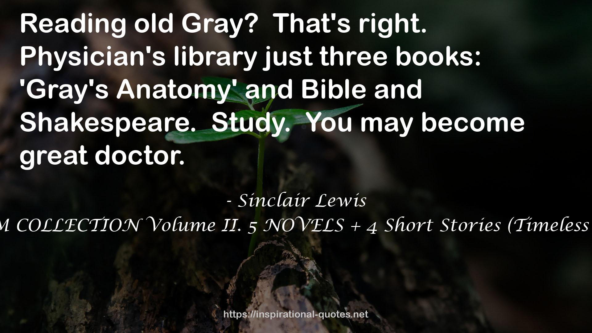 SINCLAIR LEWIS PREMIUM COLLECTION Volume II. 5 NOVELS + 4 Short Stories (Timeless Wisdom Collection Book 1281) QUOTES
