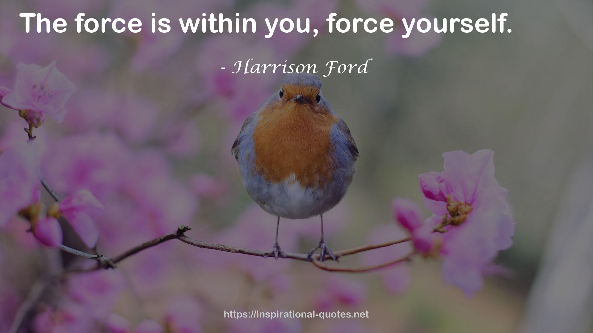 Harrison Ford QUOTES