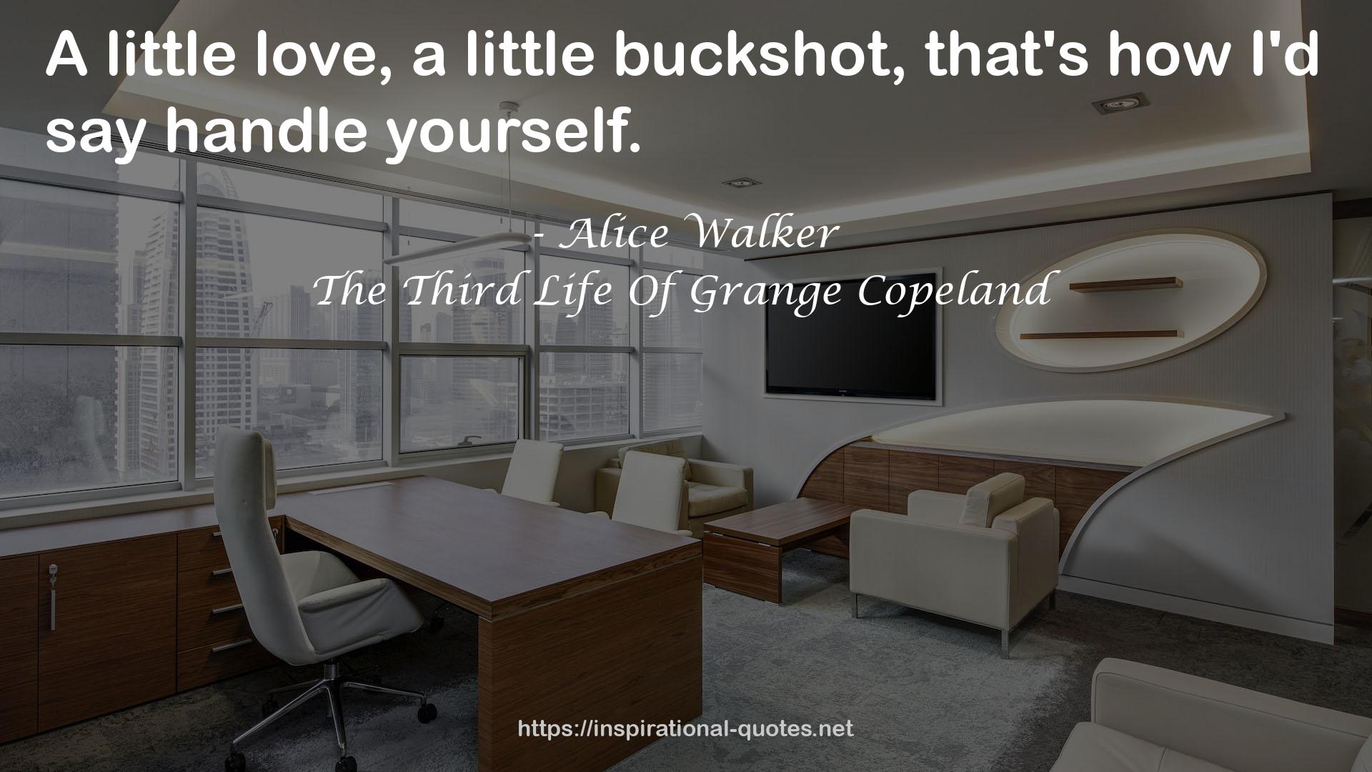 The Third Life Of Grange Copeland QUOTES