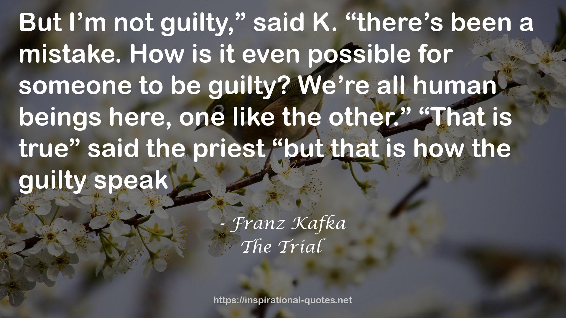 The Trial QUOTES