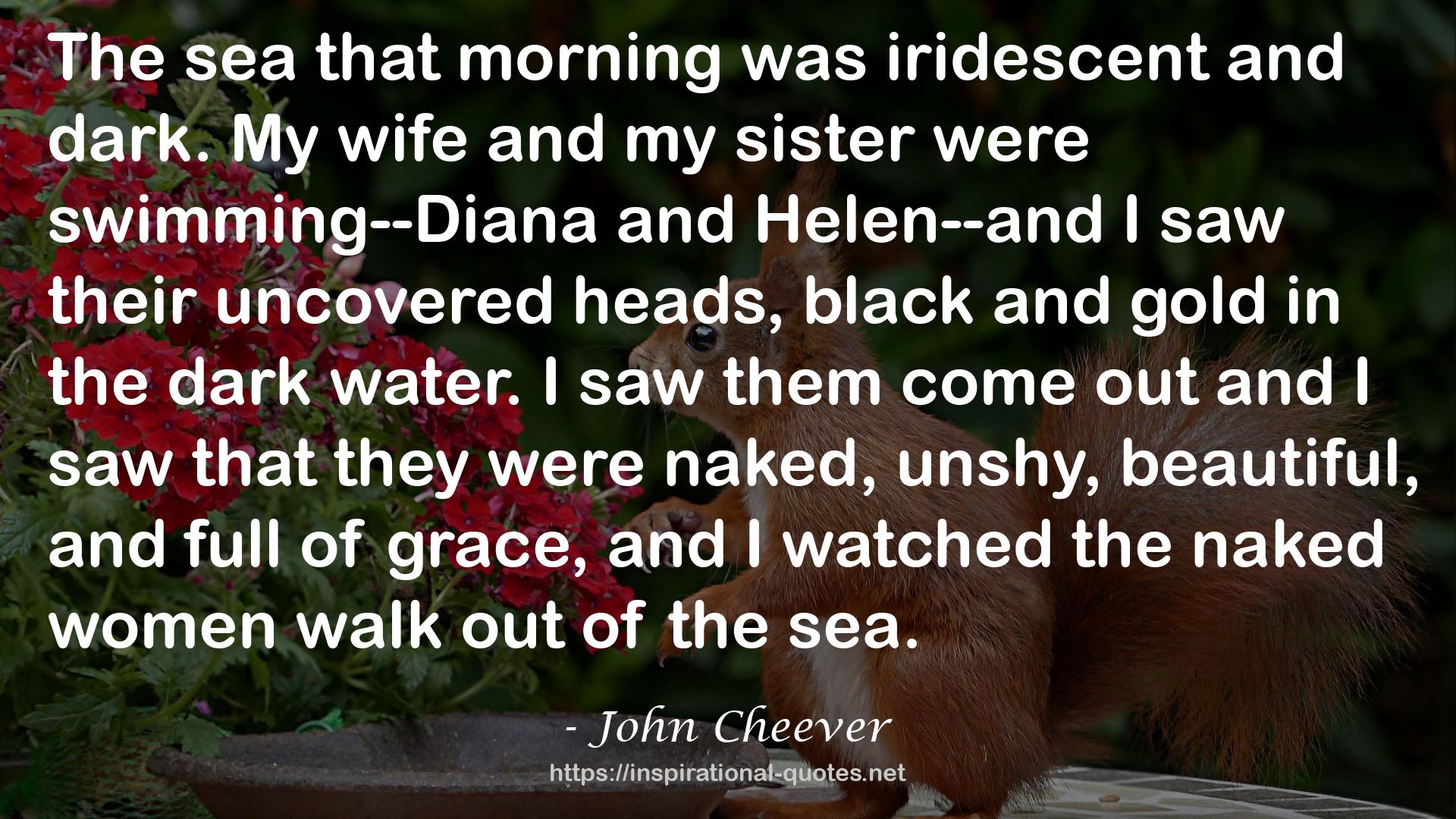 John Cheever QUOTES