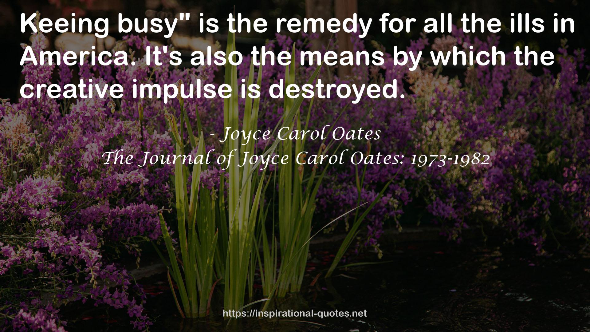 The Journal of Joyce Carol Oates: 1973-1982 QUOTES