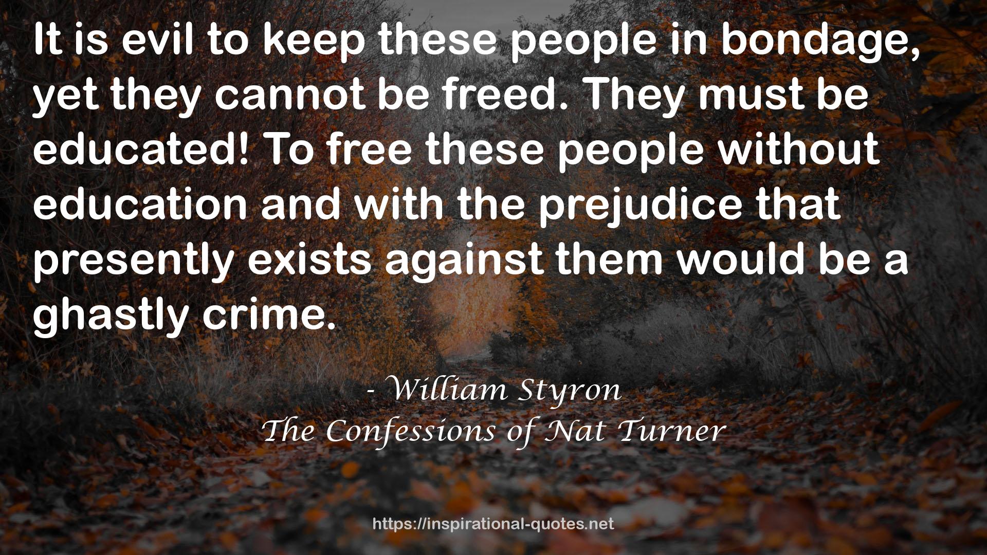 William Styron QUOTES