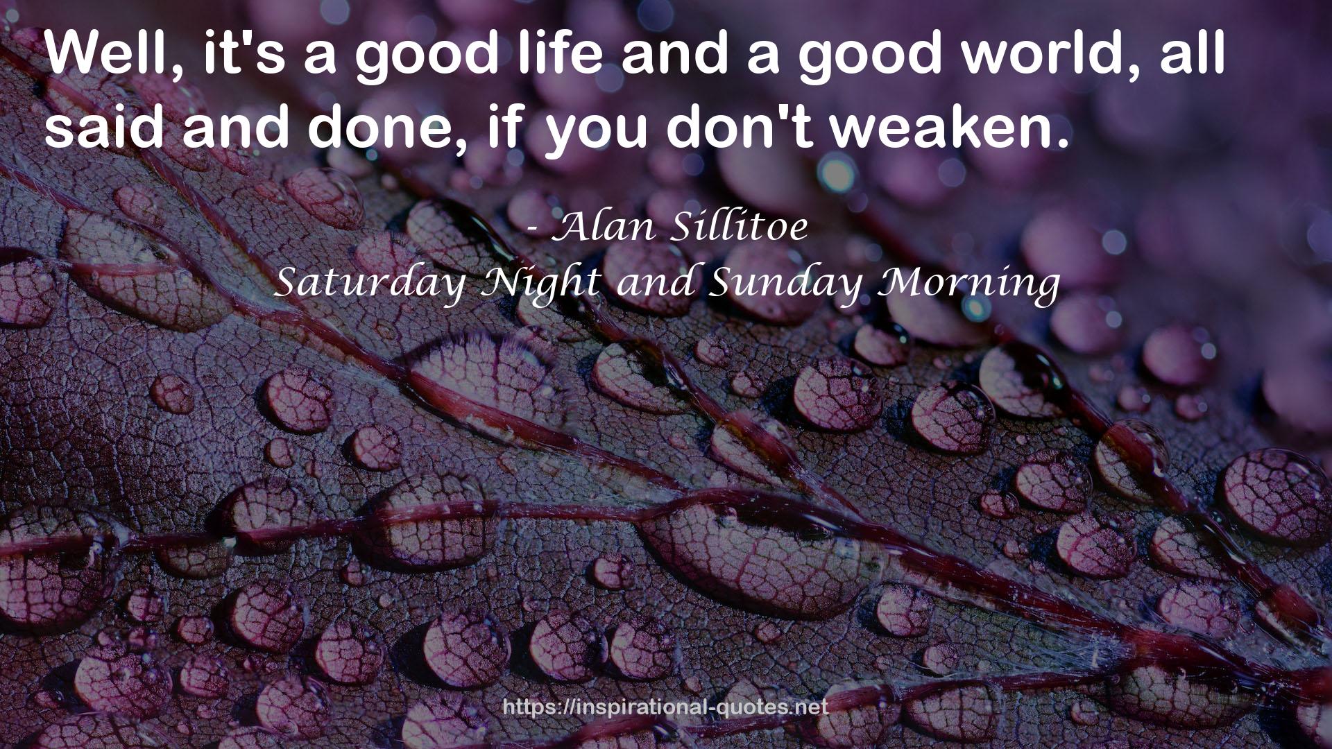 Saturday Night and Sunday Morning QUOTES