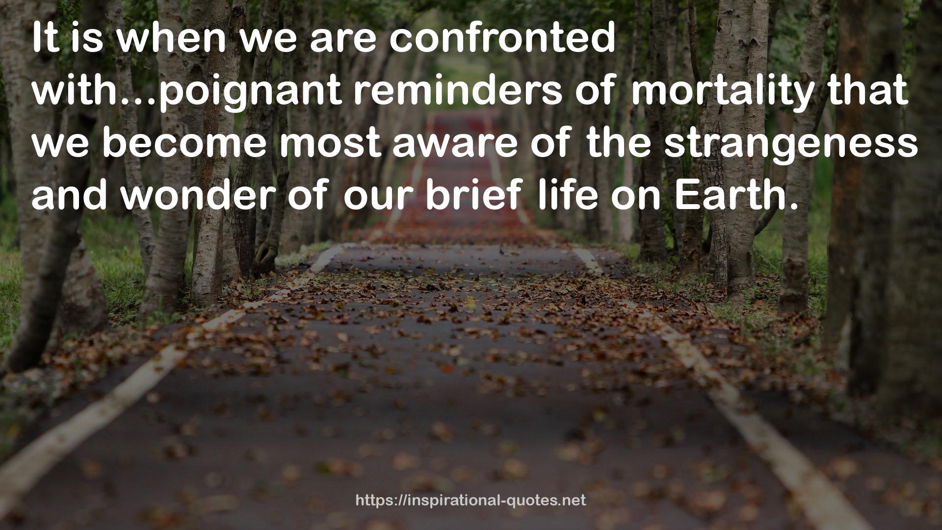 our brief life  QUOTES