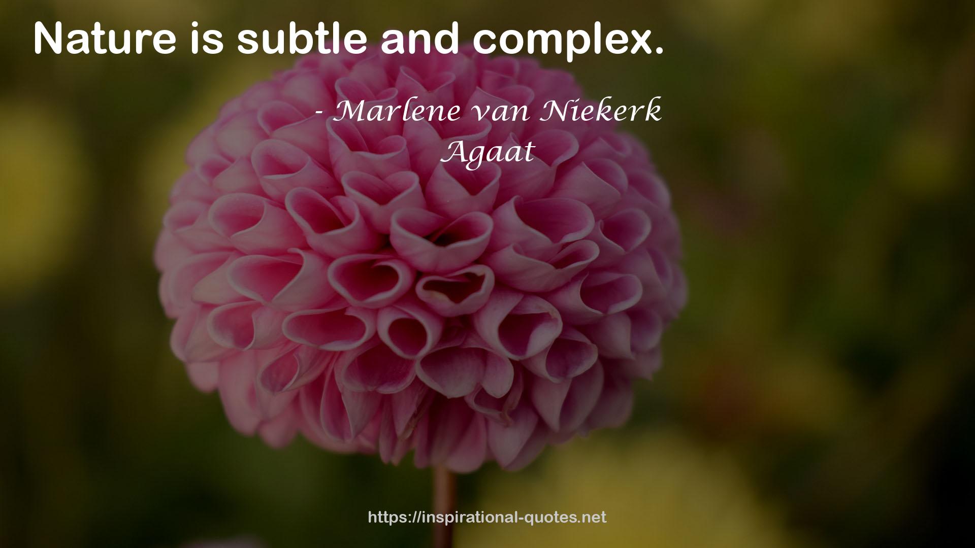 Marlene van Niekerk QUOTES