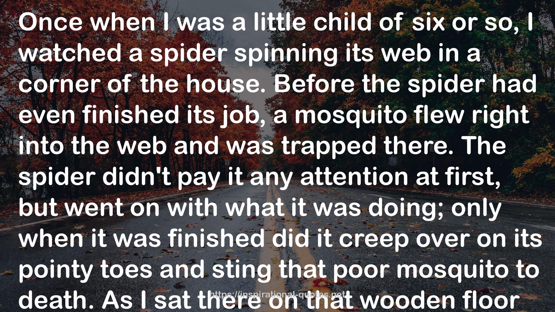 its web  QUOTES