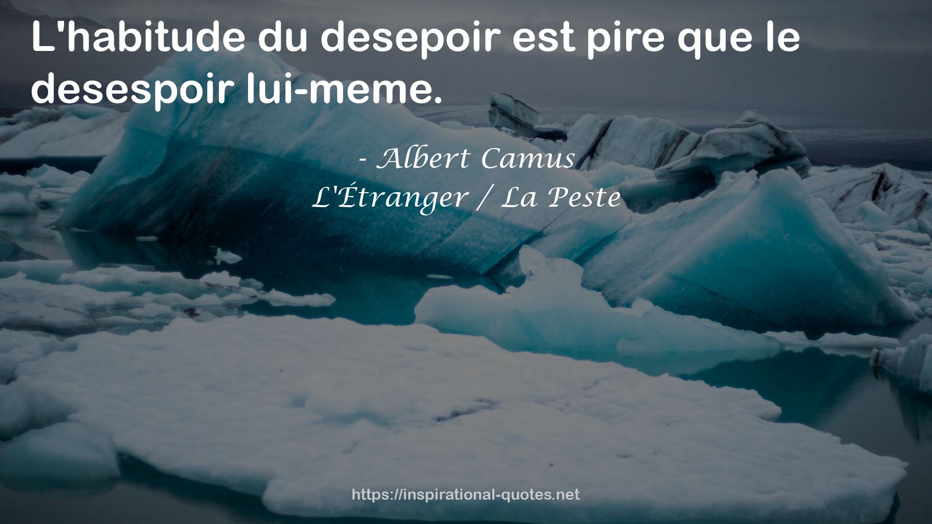 L'Étranger / La Peste QUOTES