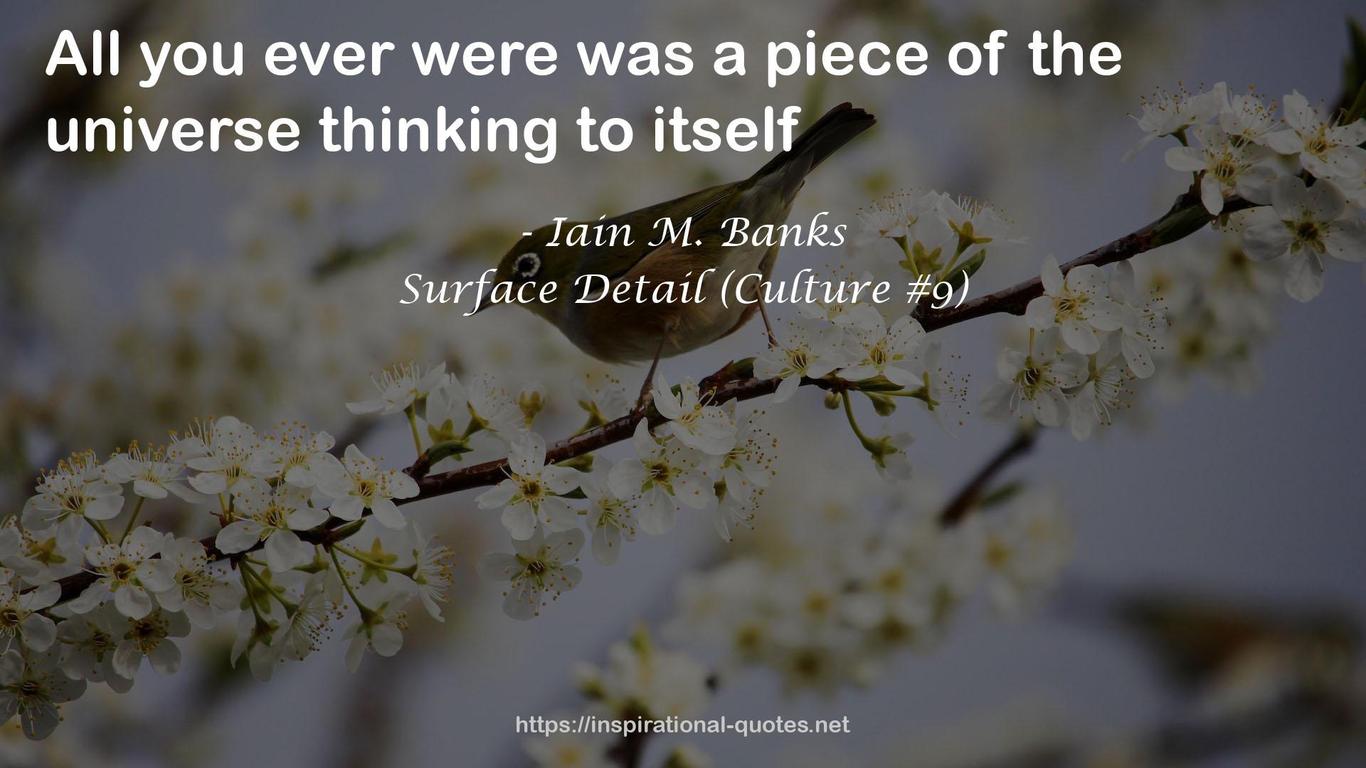 Surface Detail (Culture #9) QUOTES