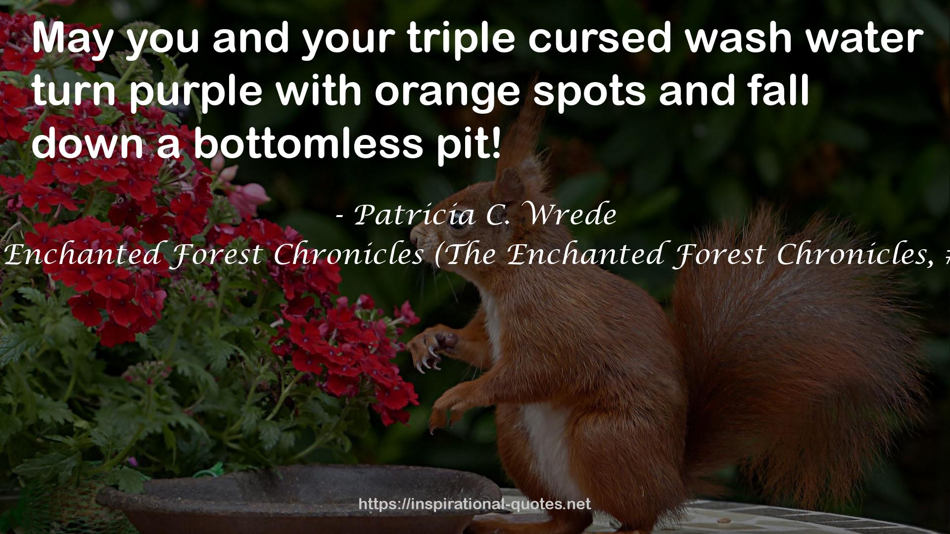 The Enchanted Forest Chronicles (The Enchanted Forest Chronicles, #1-4) QUOTES