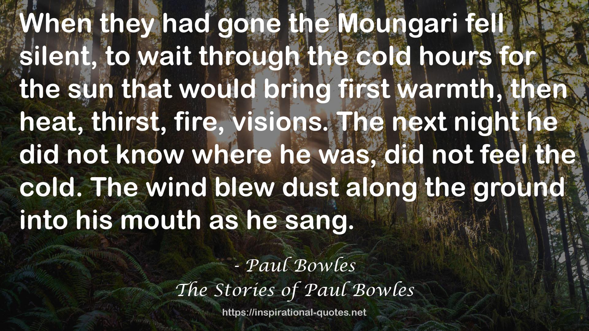 The Stories of Paul Bowles QUOTES