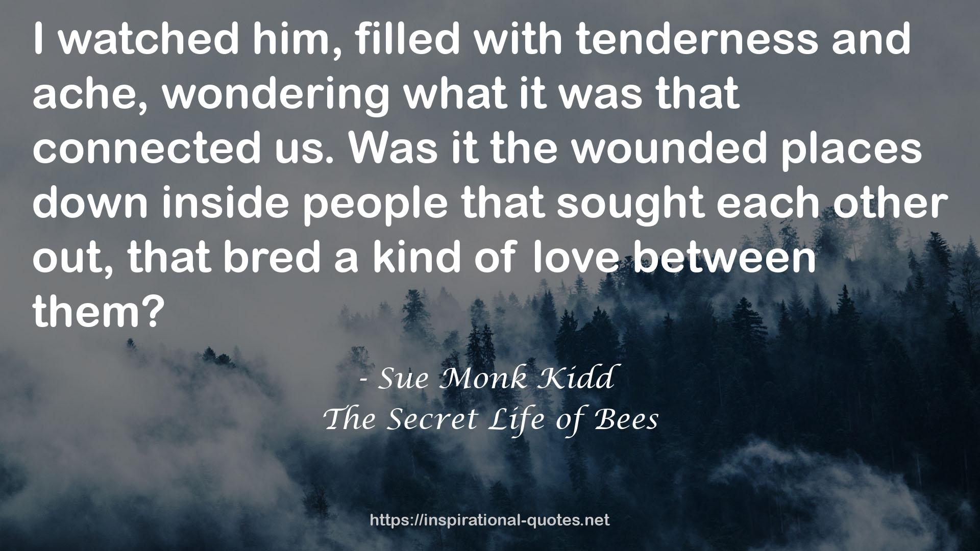 Sue Monk Kidd QUOTES