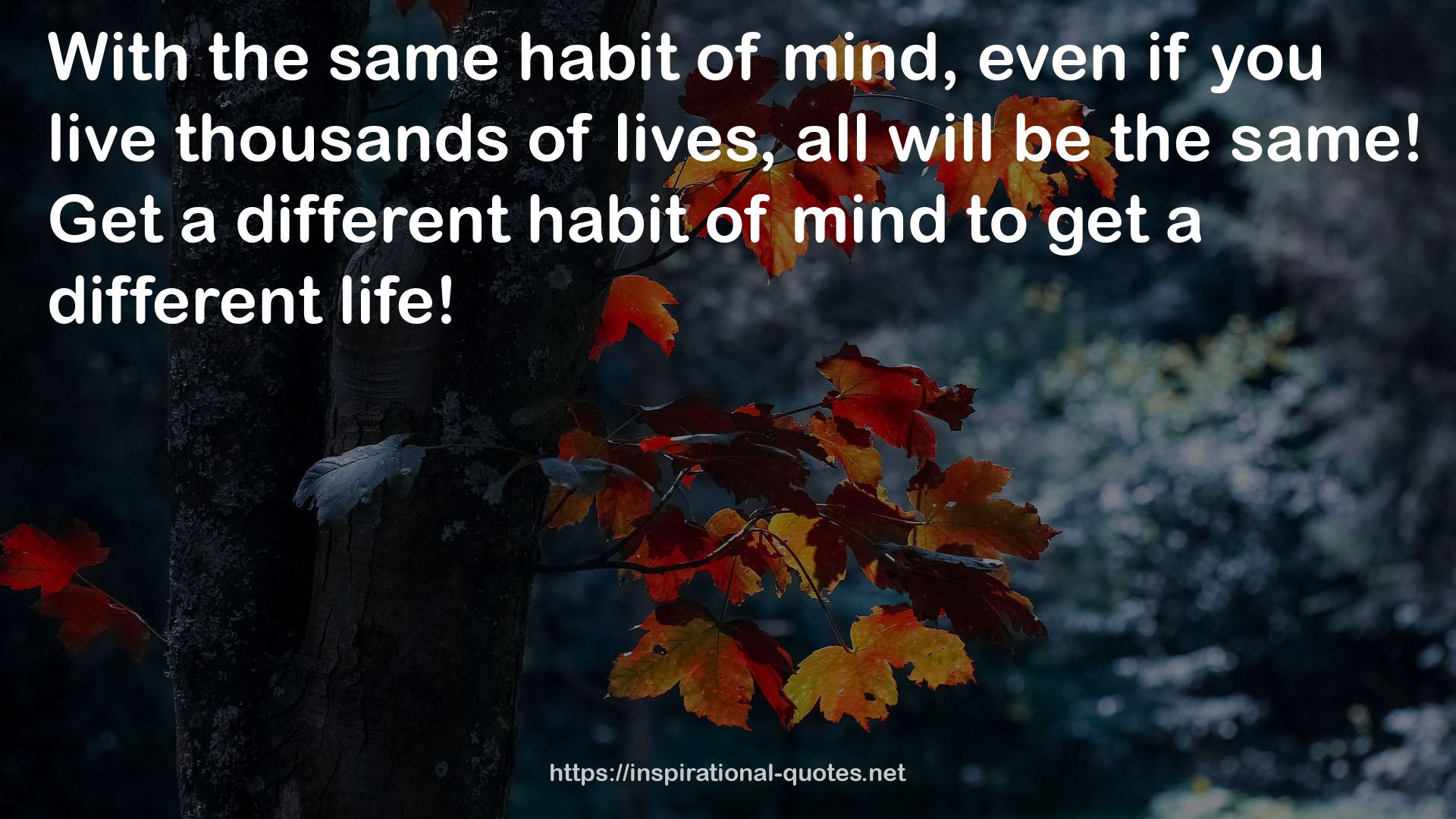 a different habit  QUOTES