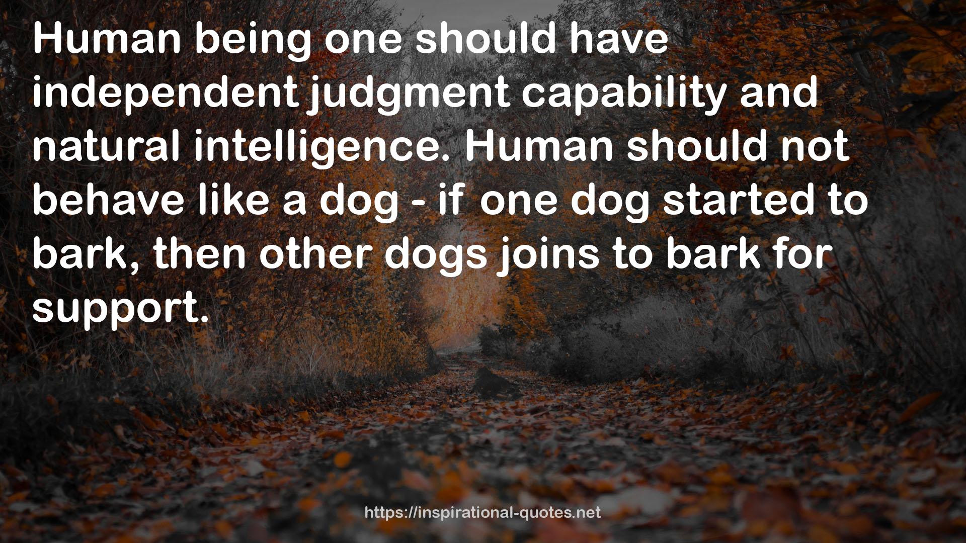 one dog  QUOTES