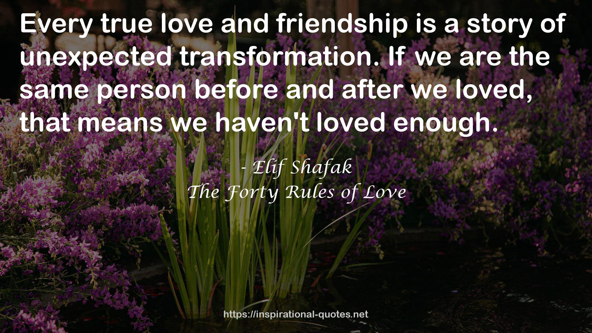 Elif Shafak QUOTES