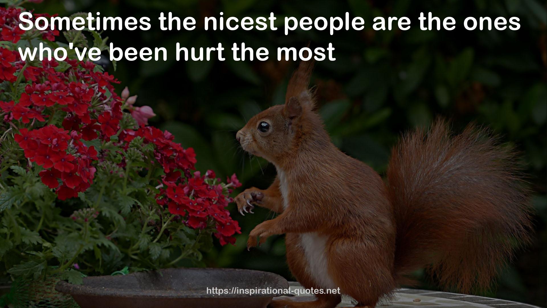 the nicest people  QUOTES