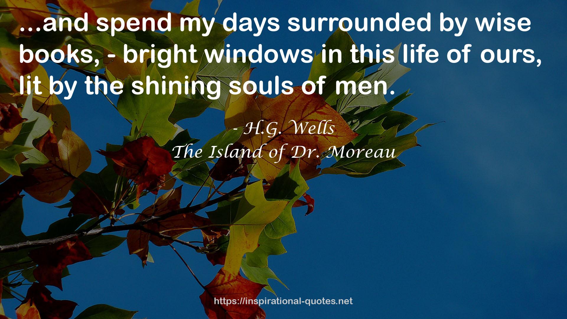 wise books, - bright windows  QUOTES