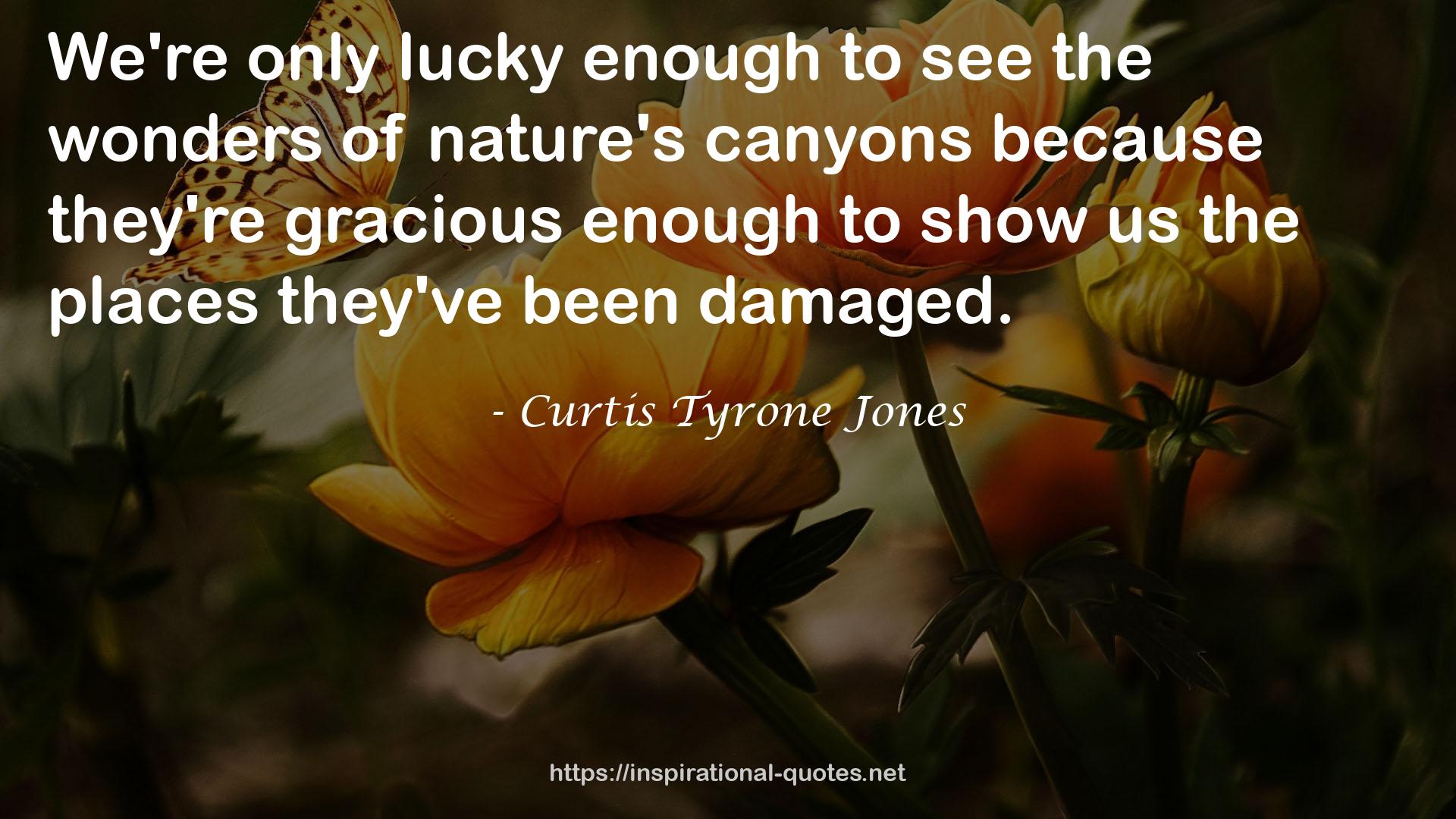 nature's canyons  QUOTES