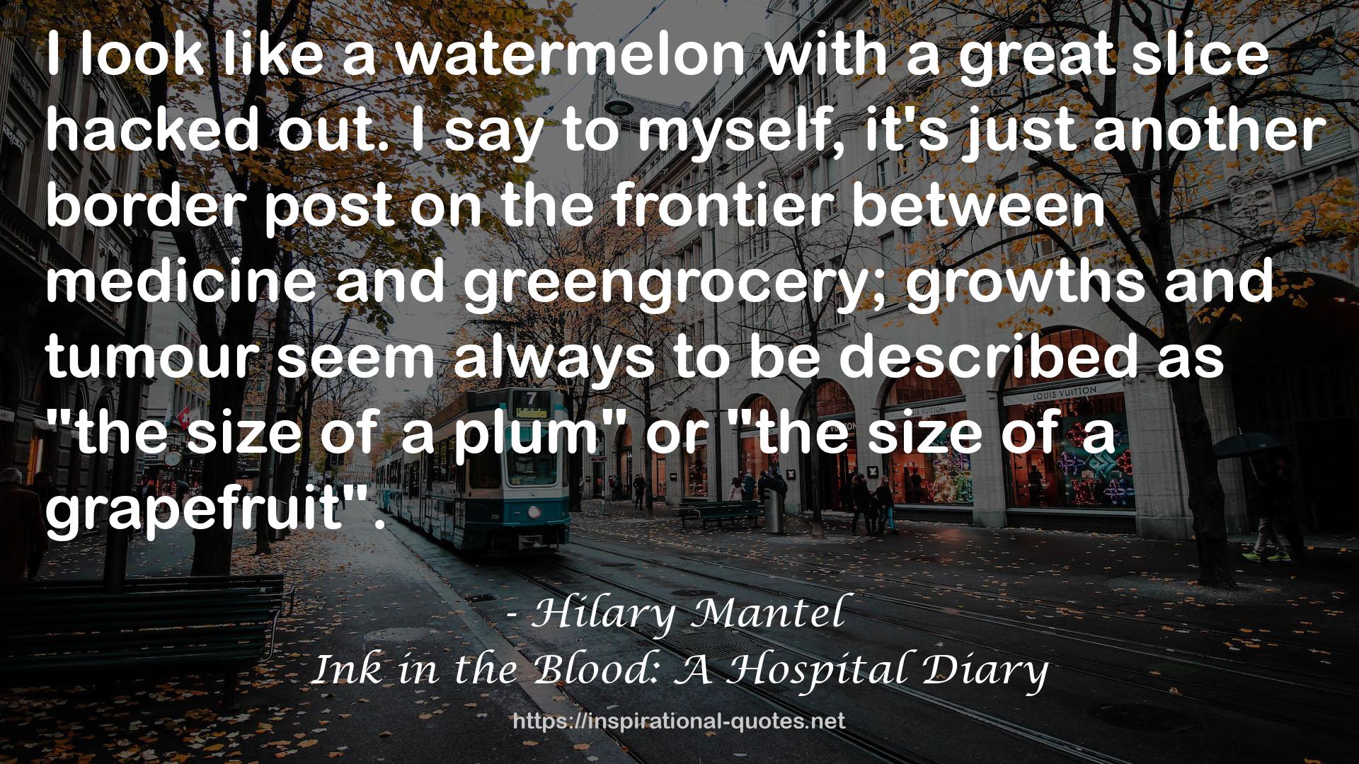 Ink in the Blood: A Hospital Diary QUOTES