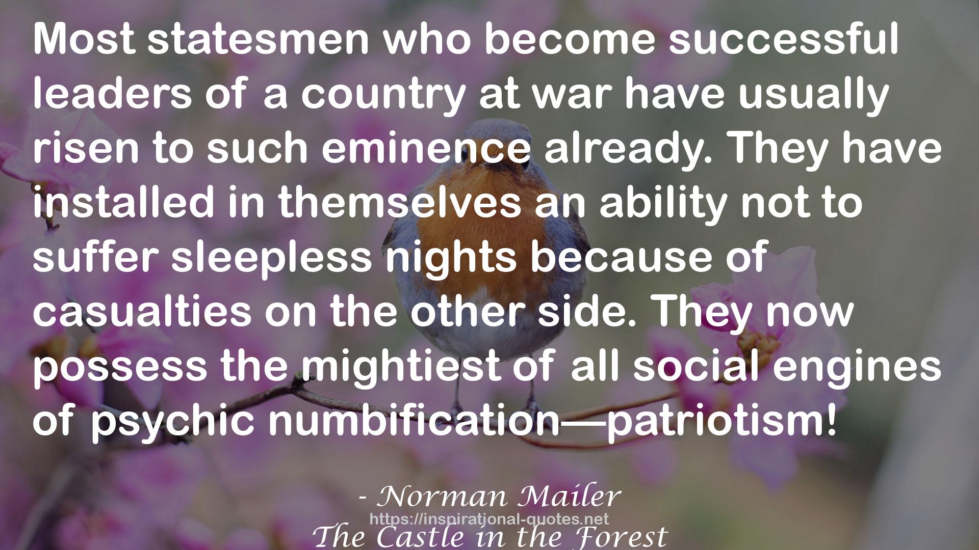 Norman Mailer QUOTES