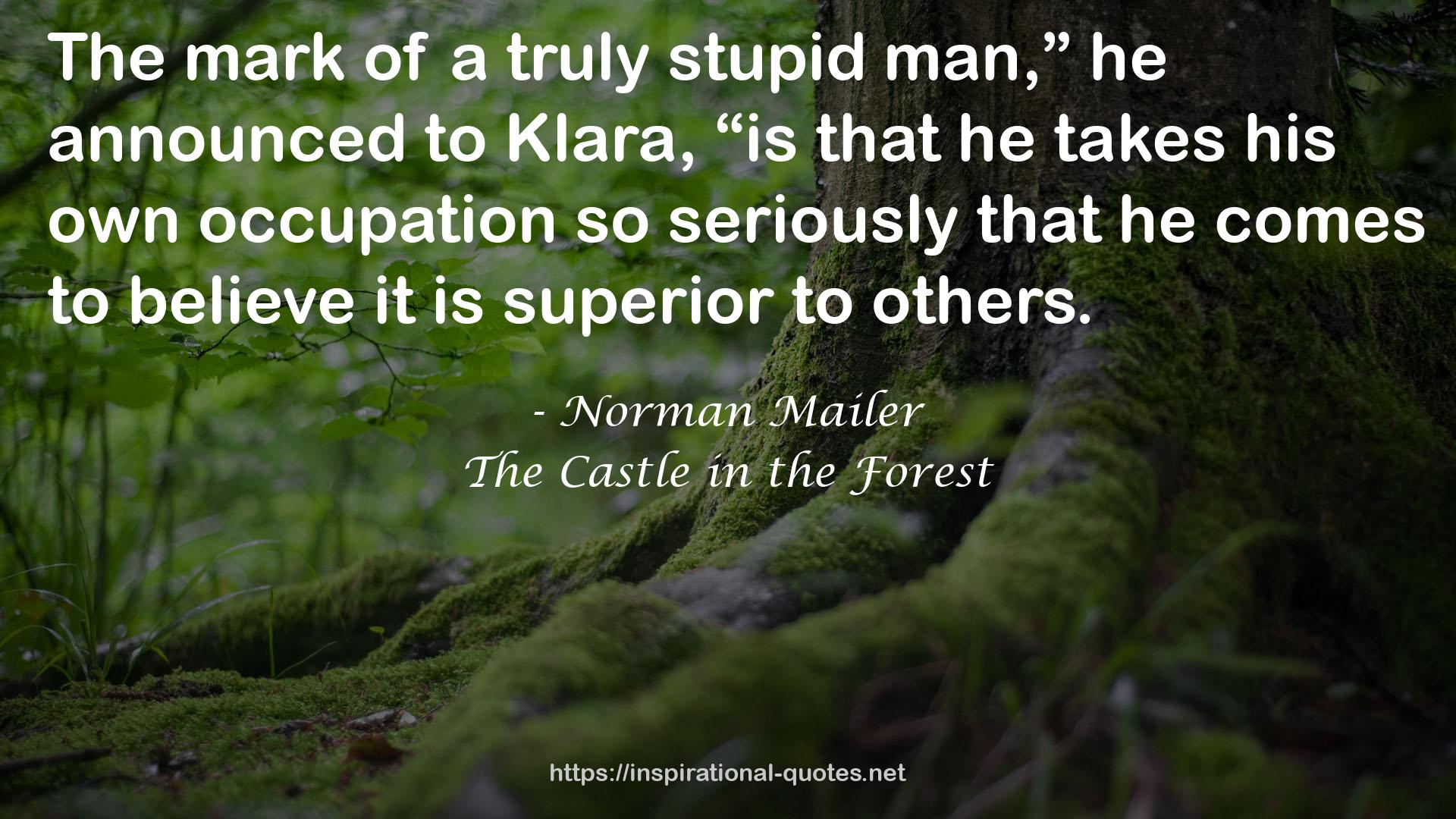 Norman Mailer QUOTES