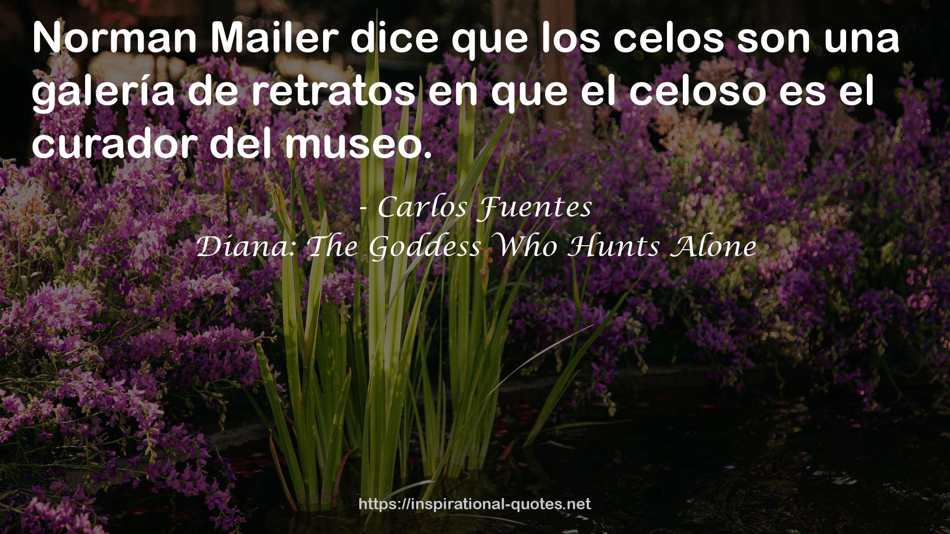 Diana: The Goddess Who Hunts Alone QUOTES