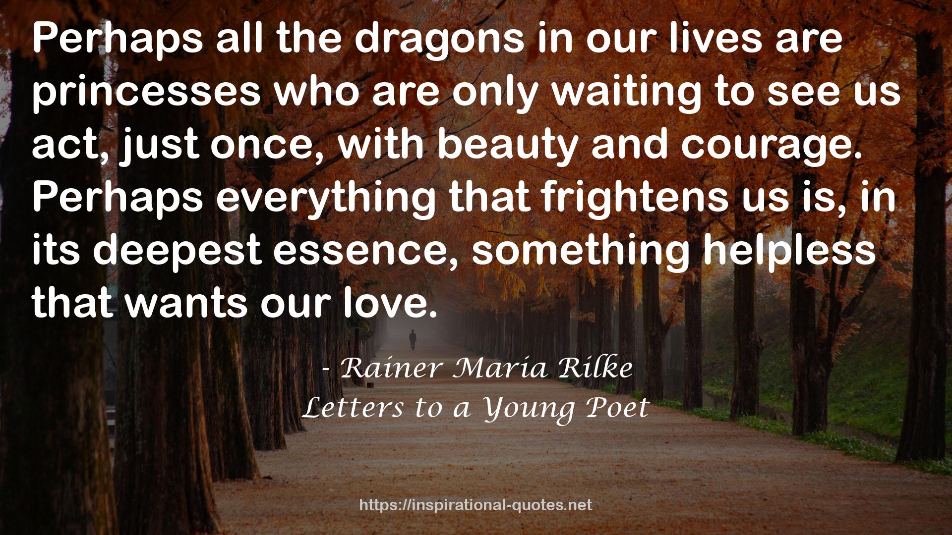 dragons  QUOTES