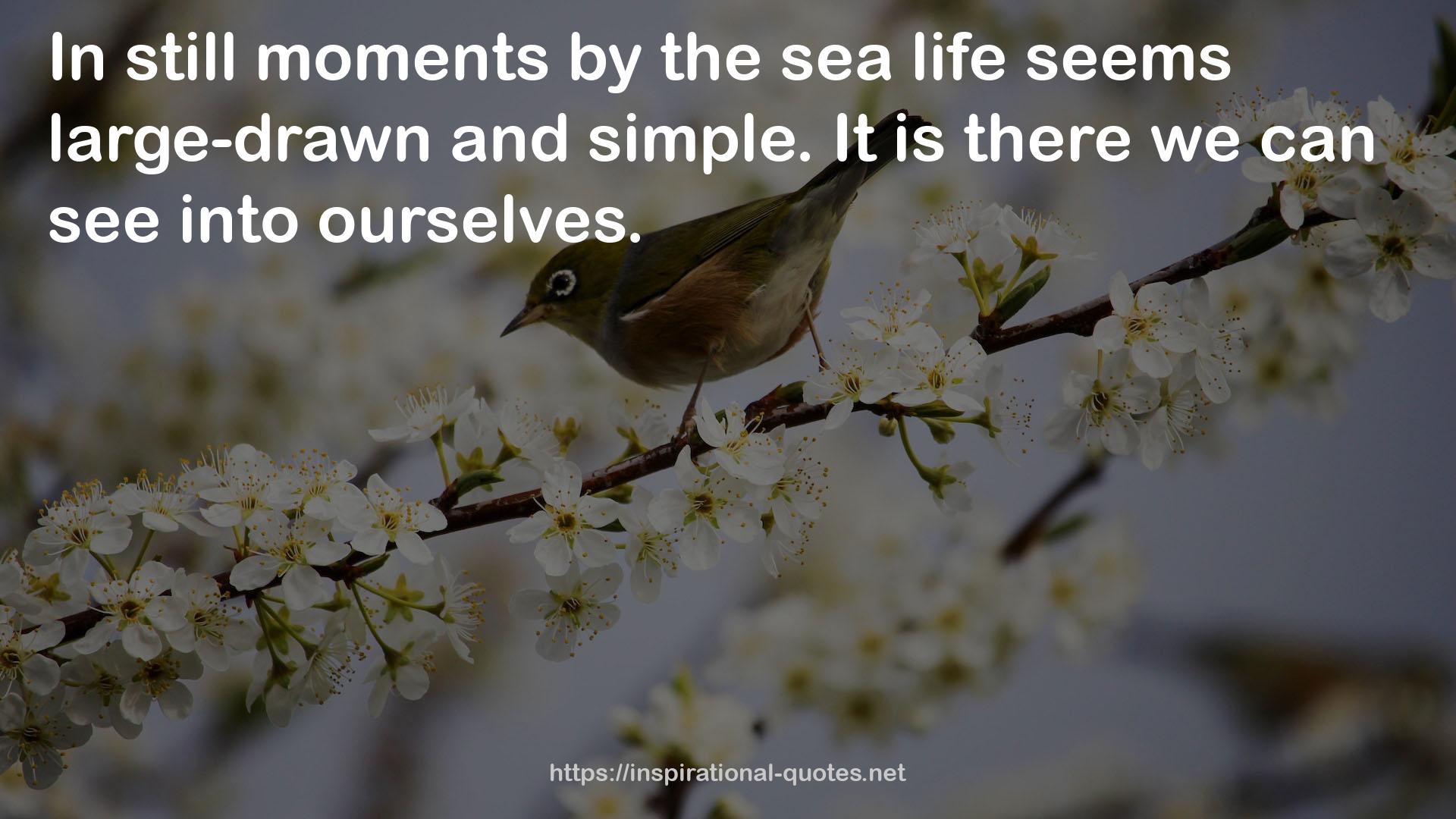 the sea life  QUOTES