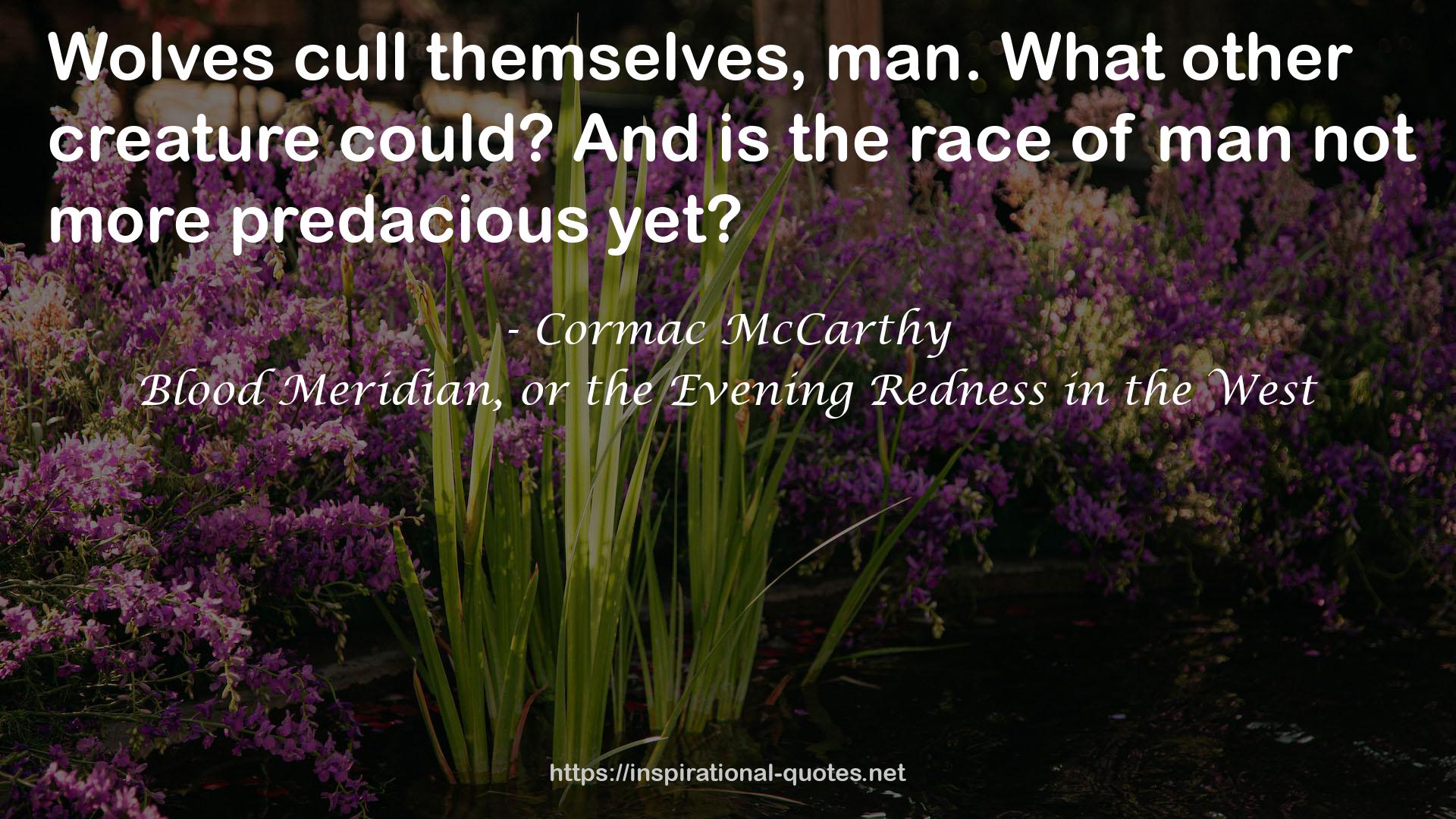 Blood Meridian, or the Evening Redness in the West QUOTES