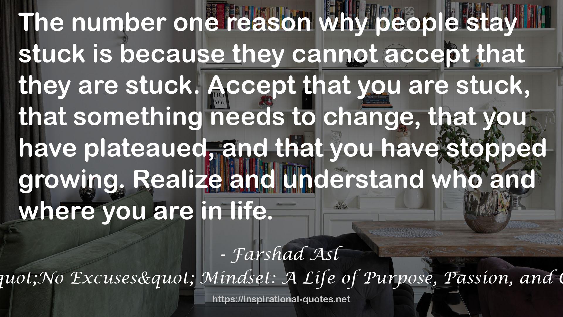 The "No Excuses" Mindset: A Life of Purpose, Passion, and Clarity QUOTES