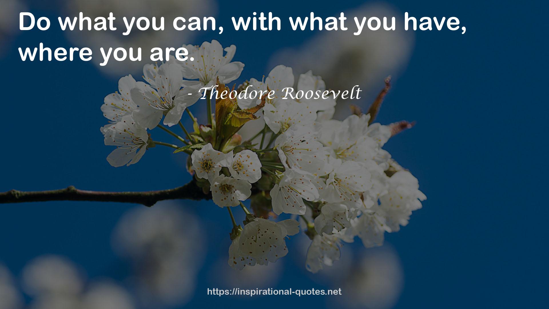 Theodore Roosevelt QUOTES