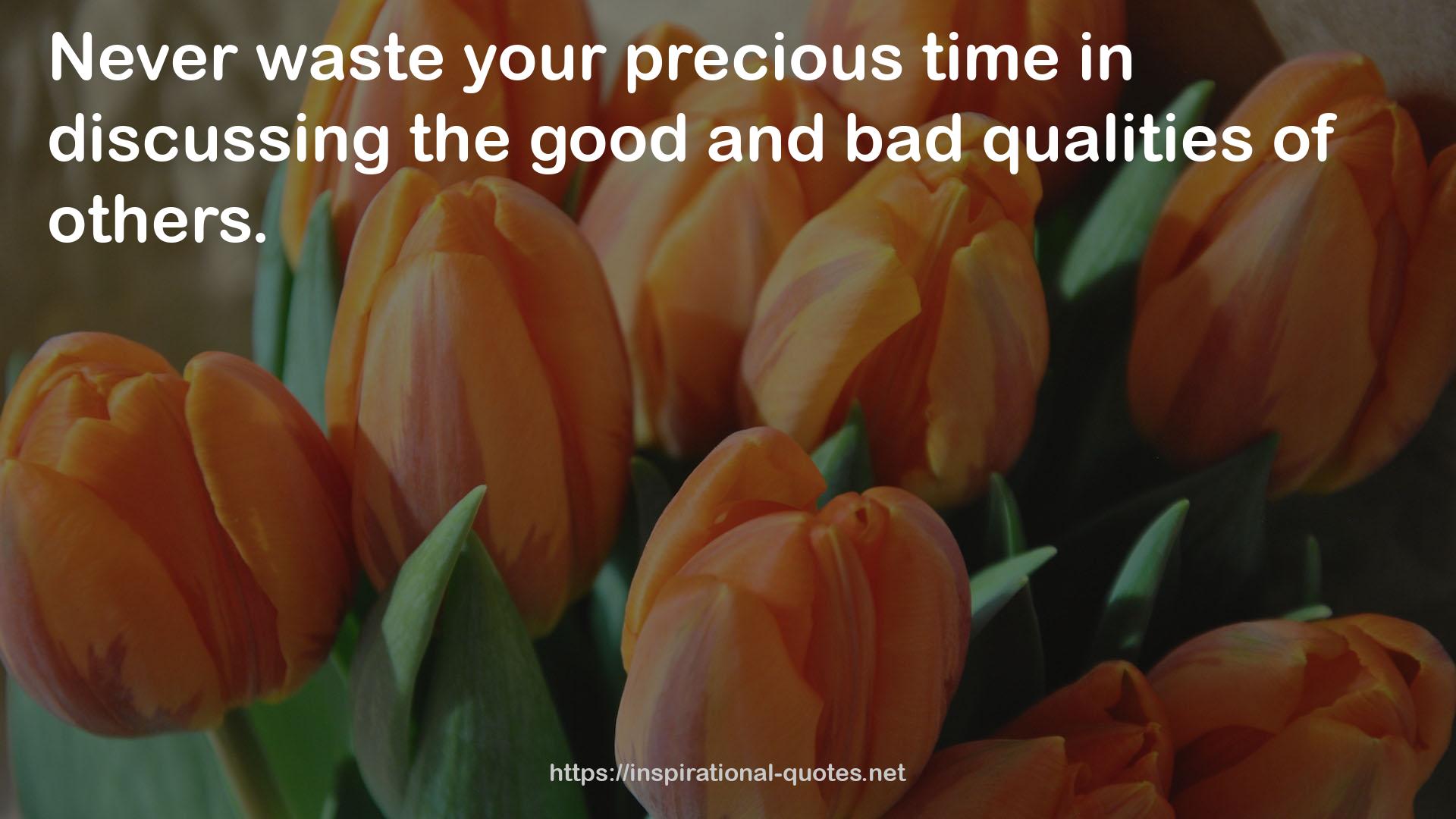 the good and bad qualities  QUOTES