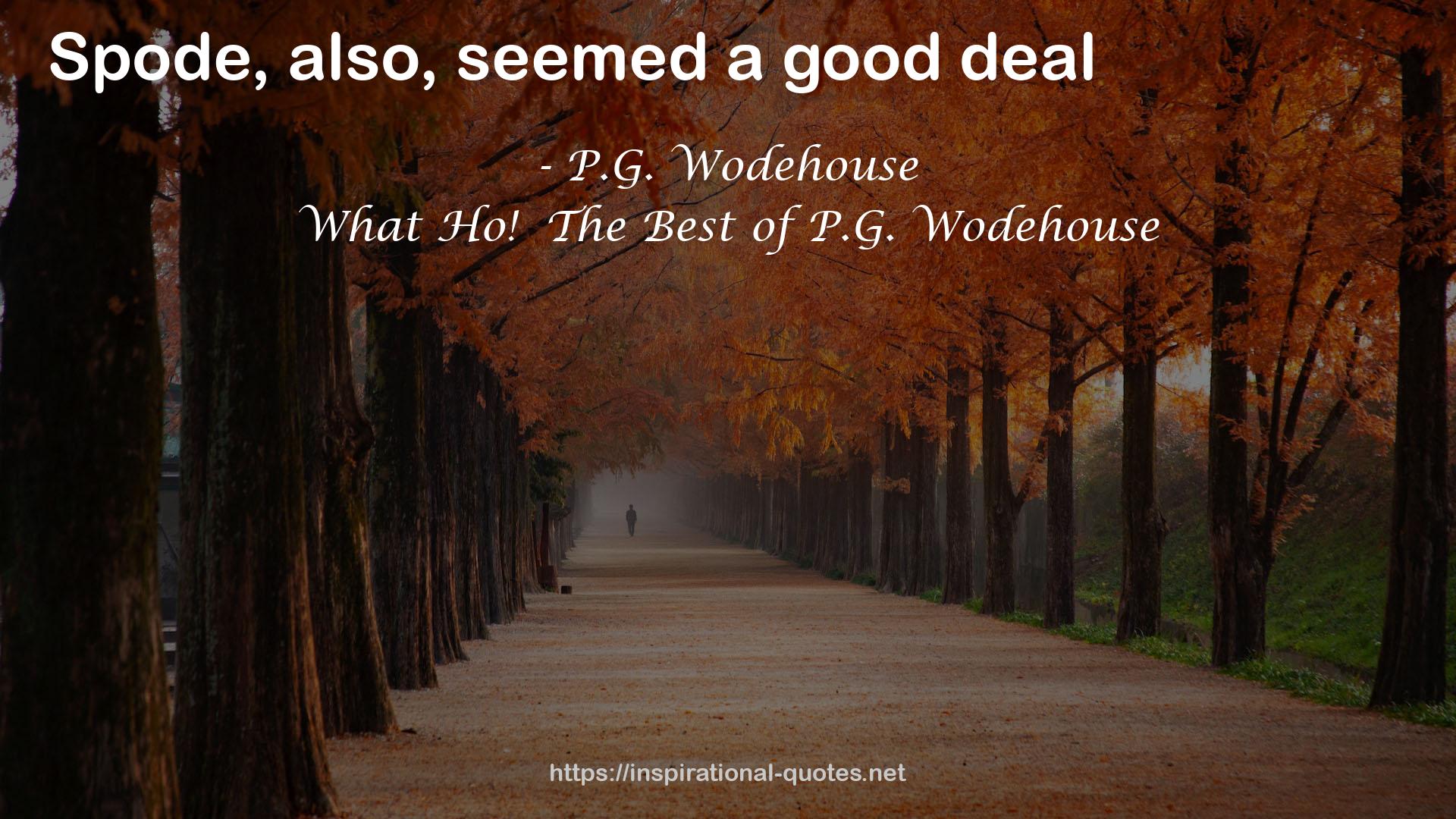 What Ho!  The Best of P.G. Wodehouse QUOTES