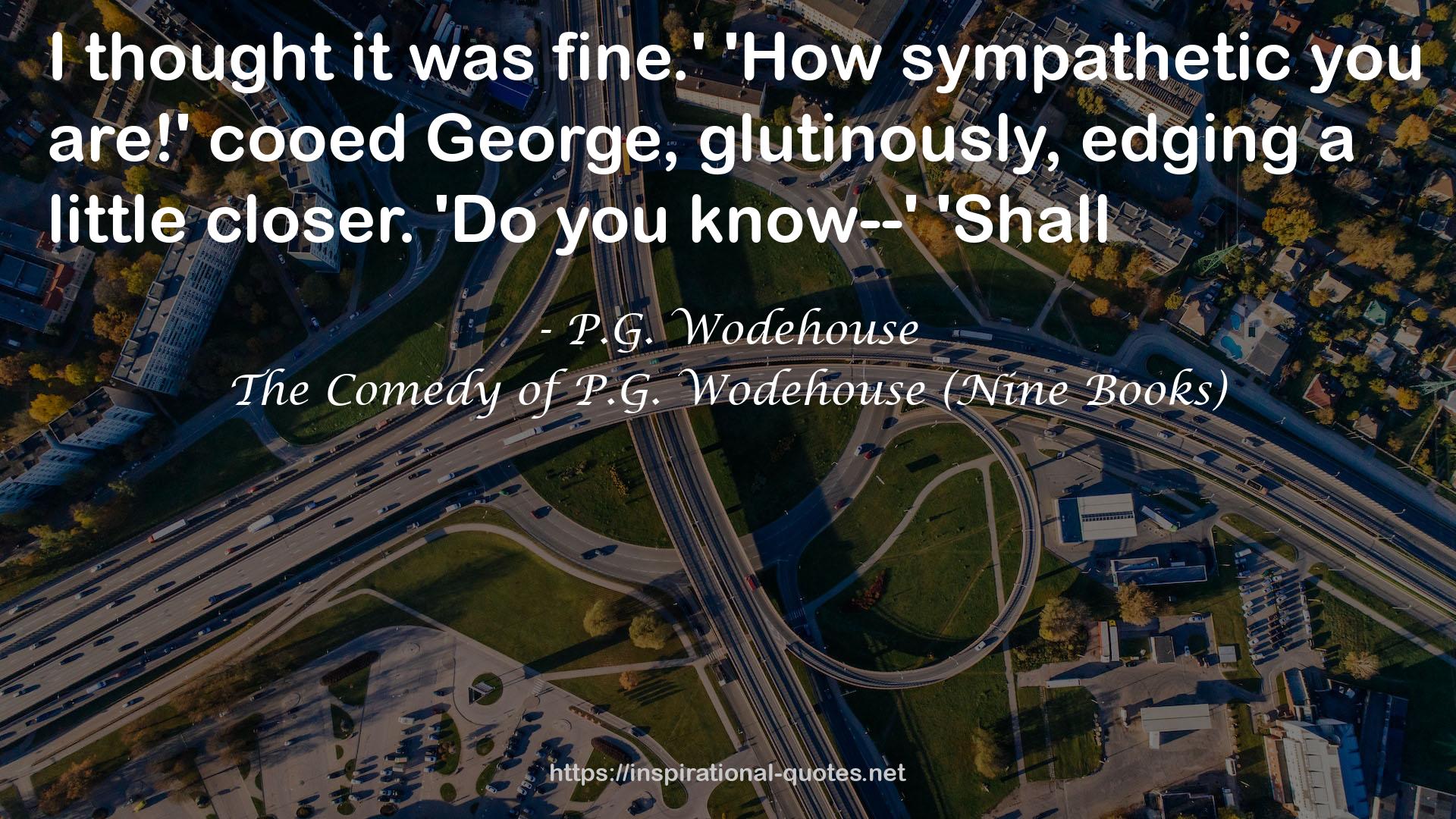 The Comedy of P.G. Wodehouse (Nine Books) QUOTES